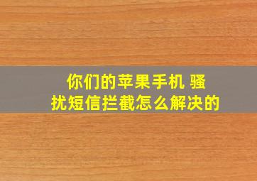 你们的苹果手机 骚扰短信拦截怎么解决的